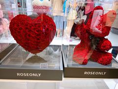 -ROSEONLY诺誓(广州K11店)