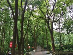 -忠山公园