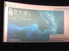 -幸福蓝海国际影城(芜湖IMAX店)