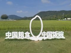 -艾米稻香小镇