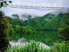 -大鄣山卧龙谷景区