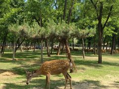 -秦皇岛野生动物园