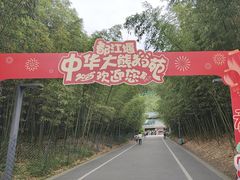 -都江堰中华大熊猫苑