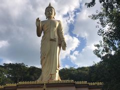 -西双版纳傣族园