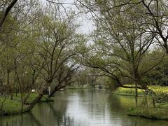 -西溪国家湿地公园