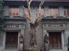 -龙潭水乡
