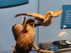 -国家自然博物馆