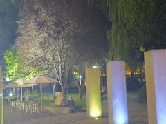 -唐城墙遗址公园