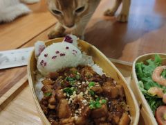 -猫小院猫主题餐厅(三里屯店)