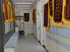 -中农国际动物医院24小时·猫科·骨科·急重症中心