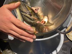 -石锅苗苗鱼(武汉首店)