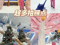 -长沙湘江冰雪世界