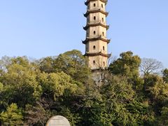 -江心屿景区