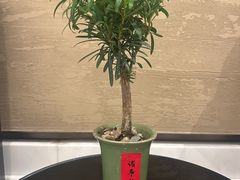 -太湖饭店·寄畅轩中餐厅