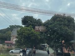-广州市帽峰山景区