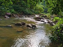 -广州白江湖森林公园