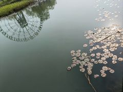 -苏州太湖湖滨国家湿地公园