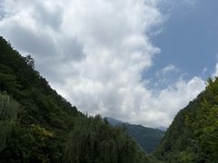 -牛背梁国家森林公园