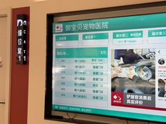 -御宝贝24h宠物医院·转诊中心·CT核磁血透中心(厦门总院)