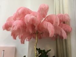 -新蝶变皮肤管理中心