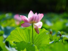 -黄兴公园