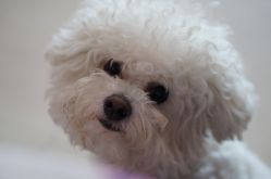 -Pink You美甲美睫纹绣定制中心