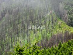 -灵山