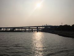 -深圳湾公园(南山区)