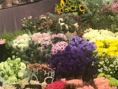-双季花艺园艺市场(浦东店)