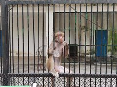 -广东茂名森林公园