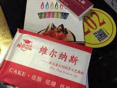 -维尔纳斯·生日蛋糕动物奶油冰淇淋蛋糕(人大店)