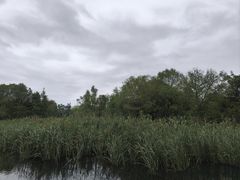 -同里国家湿地公园