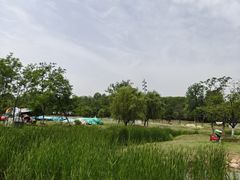-佛手湖郊野公园