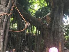 -龙达温泉生态城