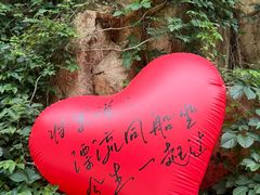 -将军关探险漂流