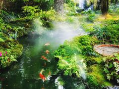 -Chom Cafe and Restaurant