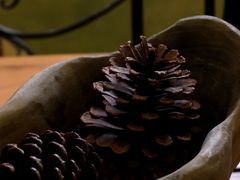 -六区宿舍咖啡店