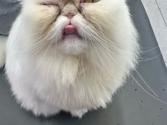 -全心全意动物诊疗中心医院(北苑店)