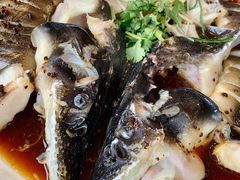 清蒸鲟鱼-京北渔家傲