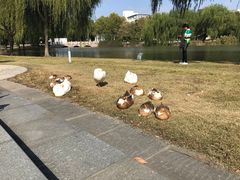 -东华大学第一食堂(松江校区店)