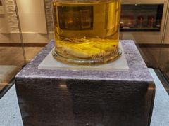 -中国酒文化城