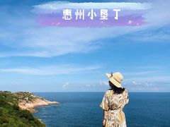 -广东惠东海龟国家级自然保护区