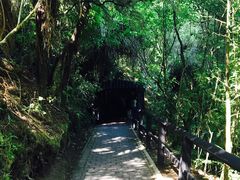 -怀托摩萤火虫洞