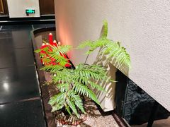 -长禧家·珑厨(东山口店)