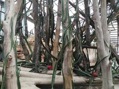 -南通洲际绿博园