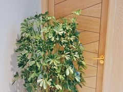 -俭寨大盘鸡·手抓肉·烧烤新疆菜(乌苏路店)