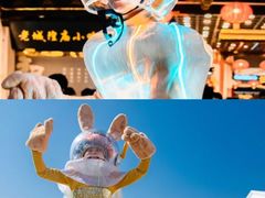 -美的鹭湖森林度假区