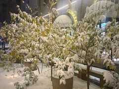 -绿地·中山里