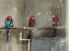 -大连森林动物园