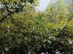 -故乡缘·香格里拉山庄(冷竹路店)